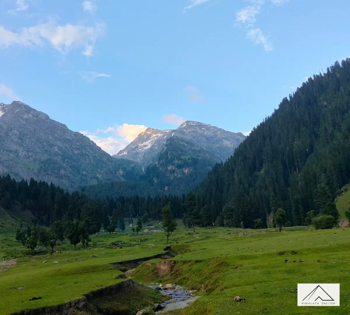 Gallery photo - Tarsar Marsar Lake Trek 10