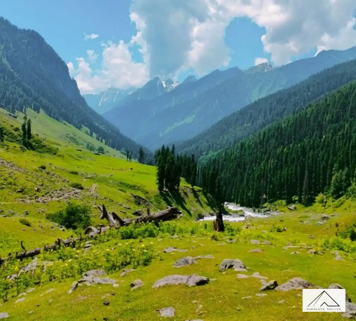 Gallery photo - Tarsar Marsar Lake Trek 1