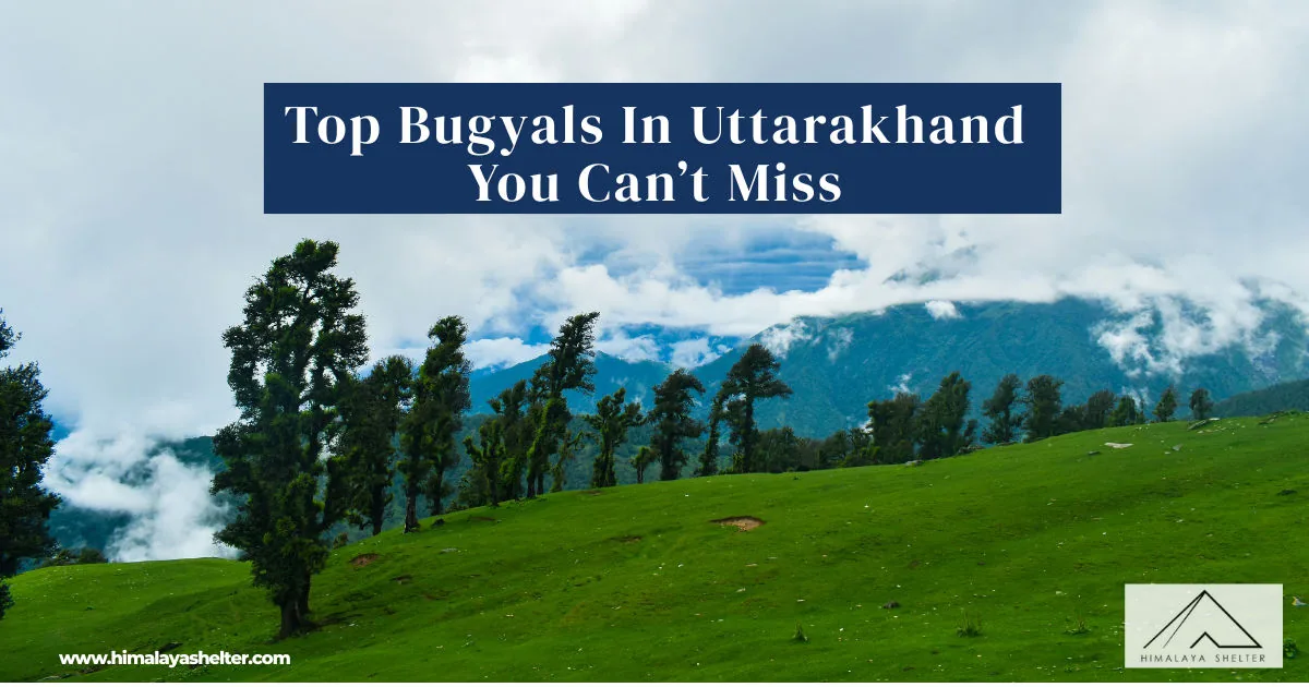 Top Bugyals In Uttarakhand You Cant Miss: Himalayan meadows
