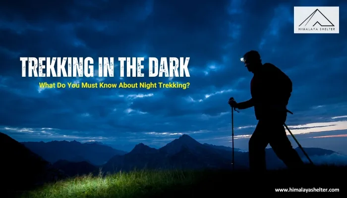 Trekking in the Dark: What do you must know about night trekking?