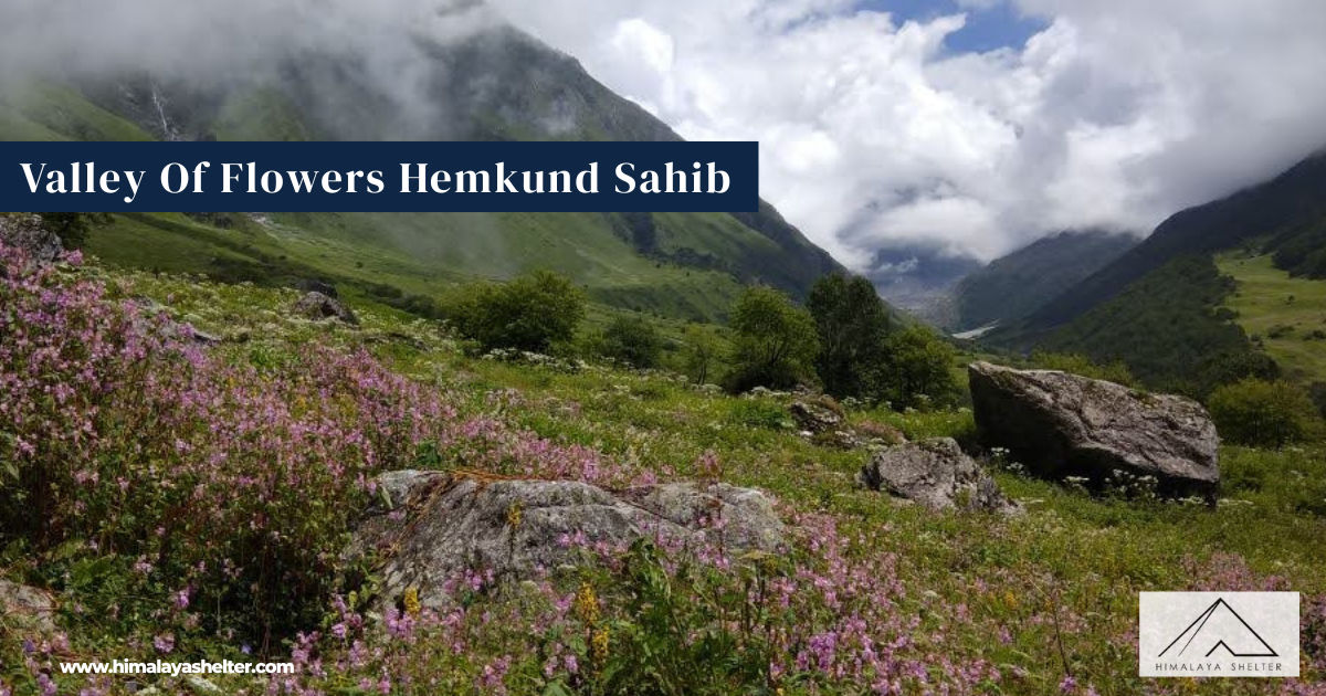 Valley Of Flowers Hemkund Sahib