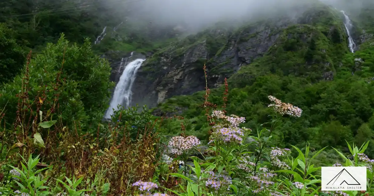 Valley Of Flowers Trek