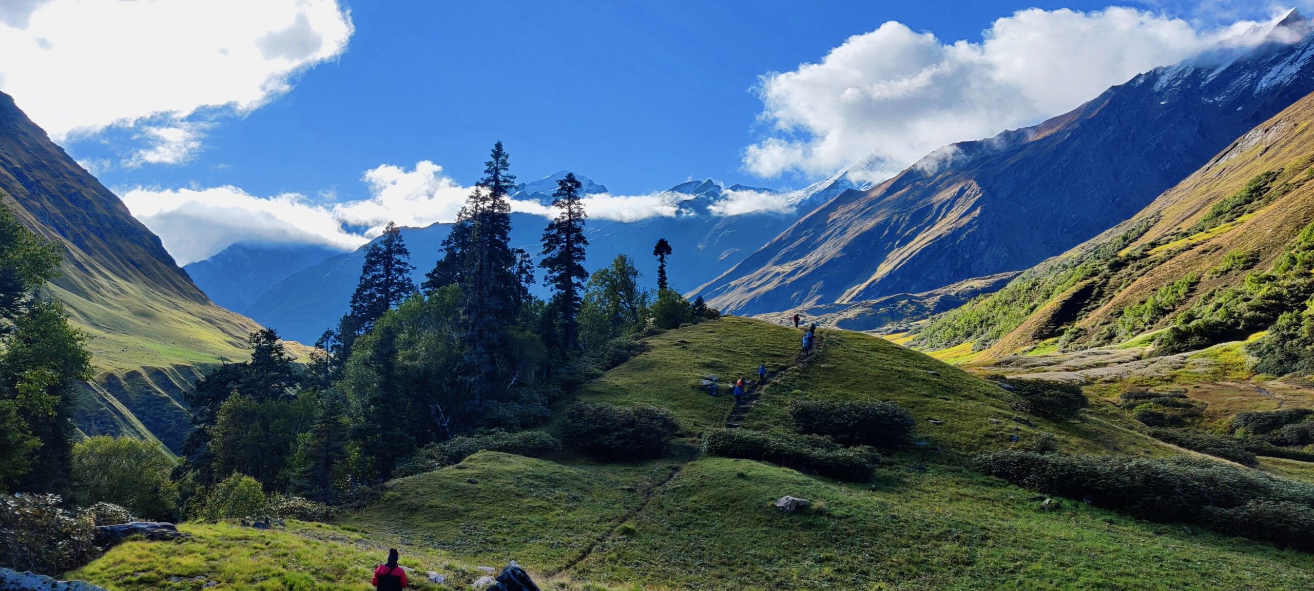 Bali Pass Trek in March,April,May,June 2023.