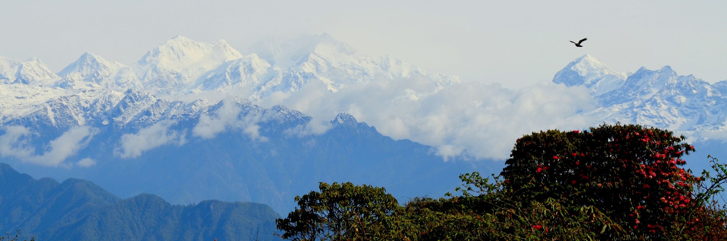 barsey sanctuary trek