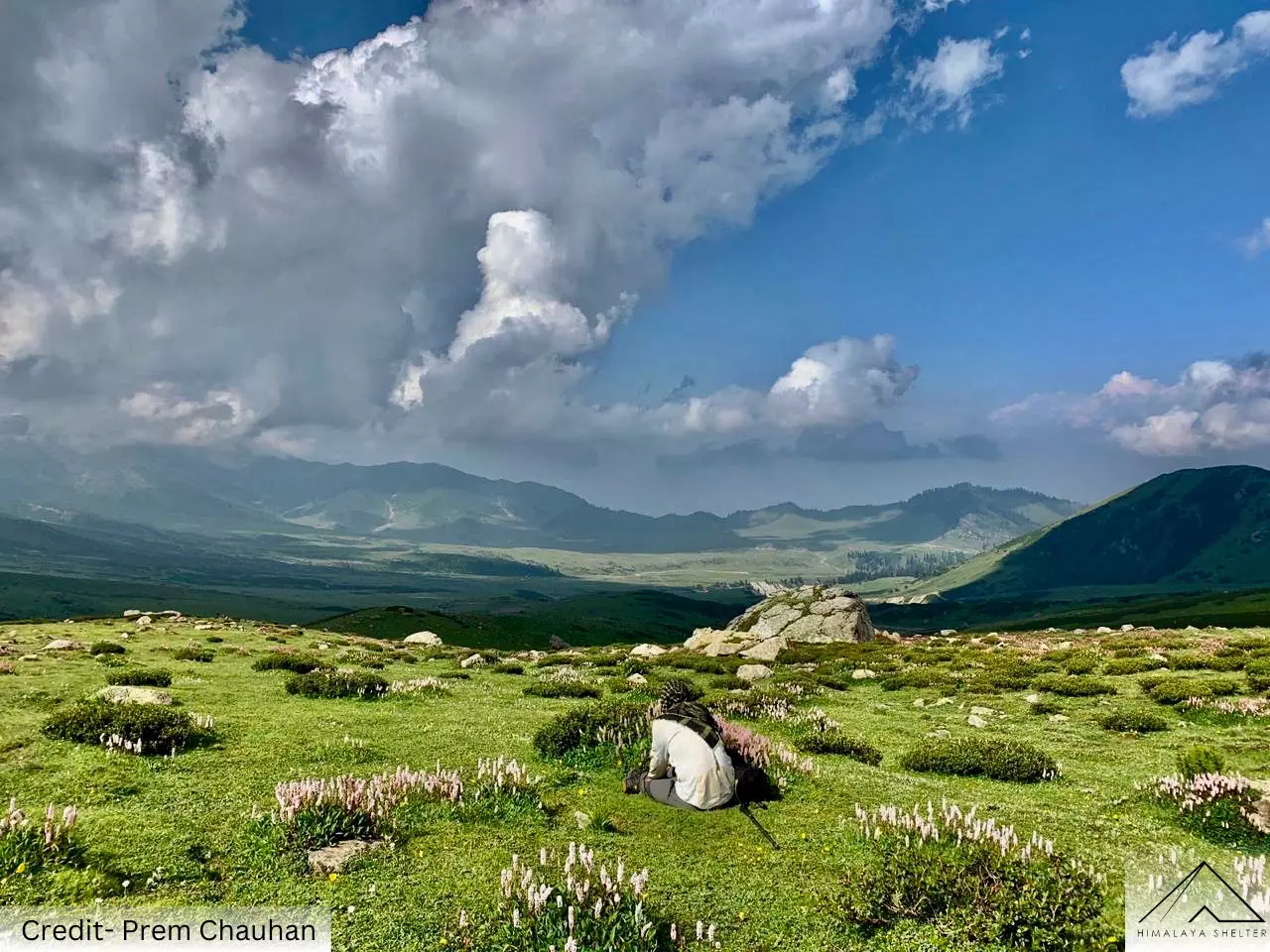 Tosa Maidan Trek: Explore Kashmir's Meadows, Lakes, and Cultural Heritage