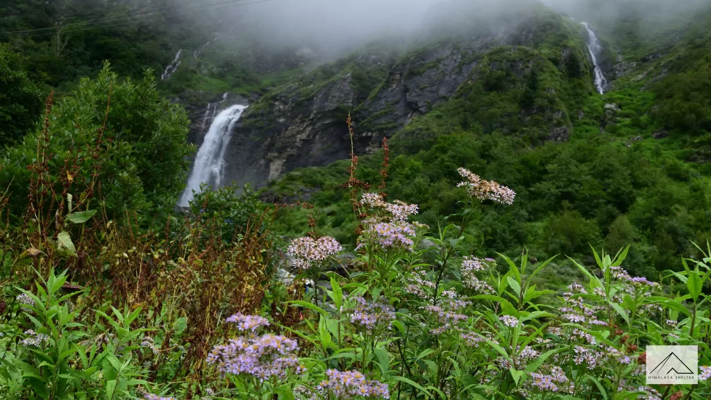 water streams in the valley of flowers