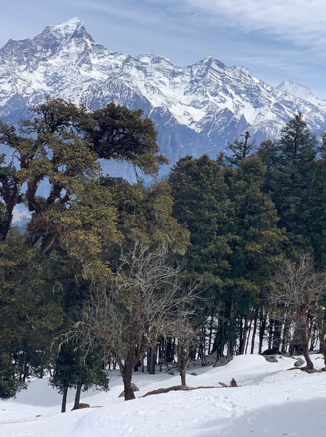 Nanda Devi and Dronagiri | Peaks of Nanda Devi and Dronagiri… | Flickr