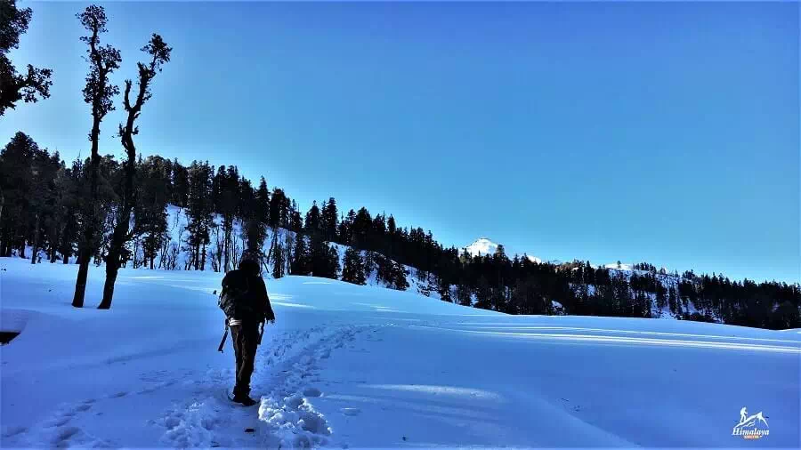 kedarkantha trek during winter