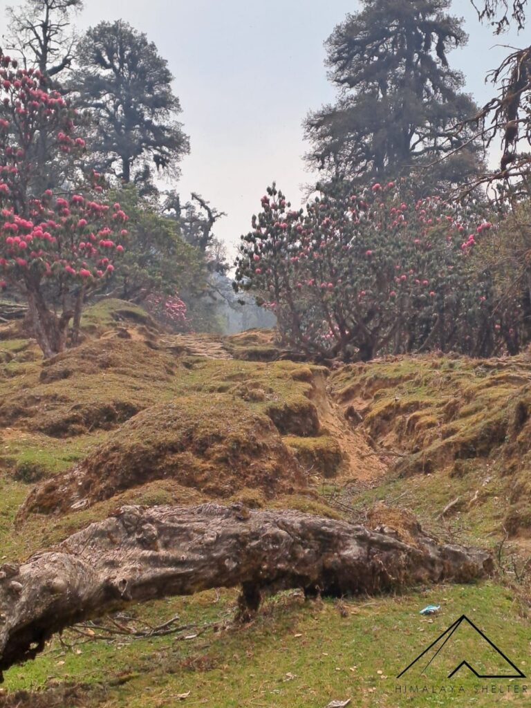 Ranthan Kharak Trek_ Keya Rathor