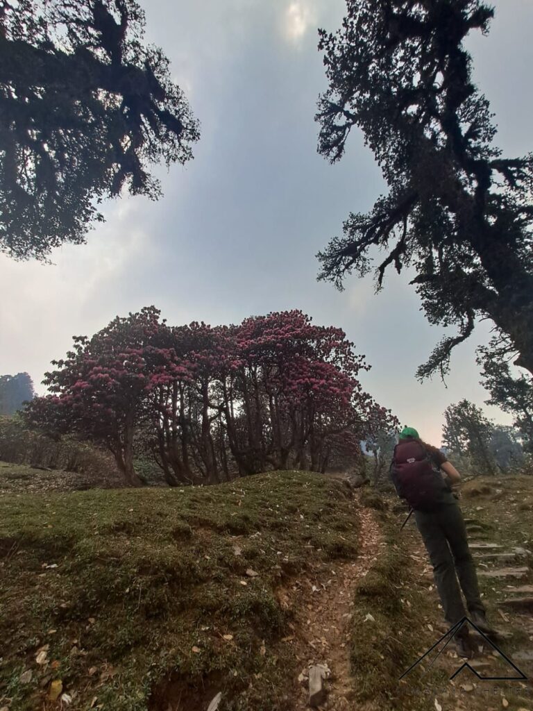 keya rathore_ Ranthan Kharak Trek