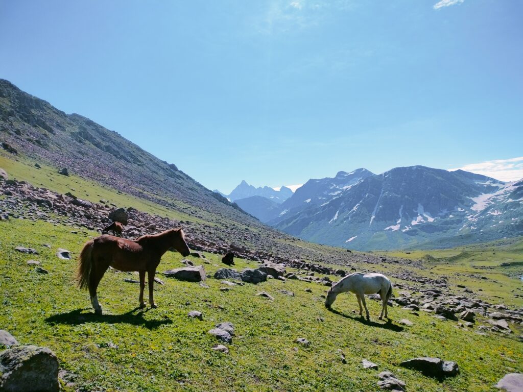 Nafran Valley Trek