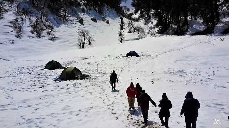 Trekker passing through snow covered campsite on Dayara Bugyal Trek