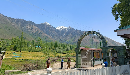 Daichgam national park kashmir