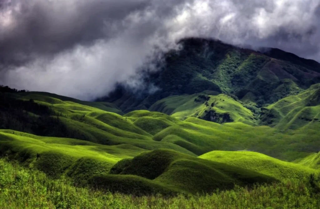 Dzukou Valley