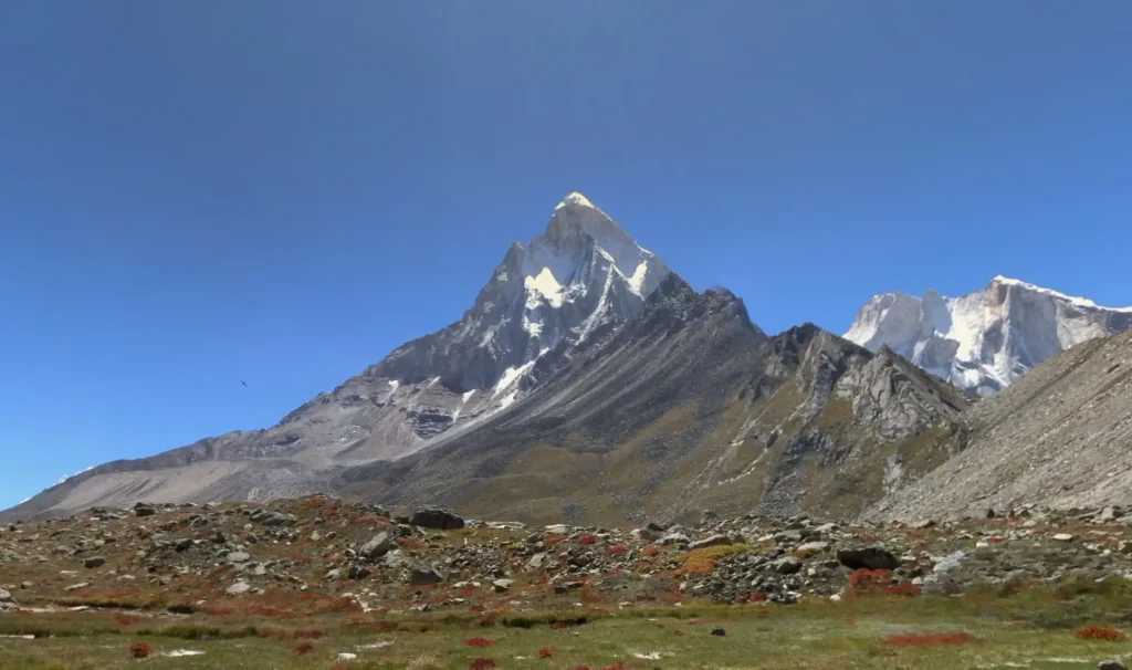 mt shivling from tapovan