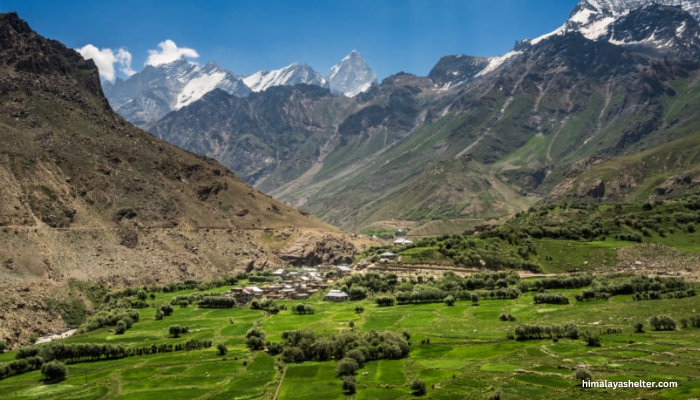 on the way suru valley the Sankoo Village in ladakh