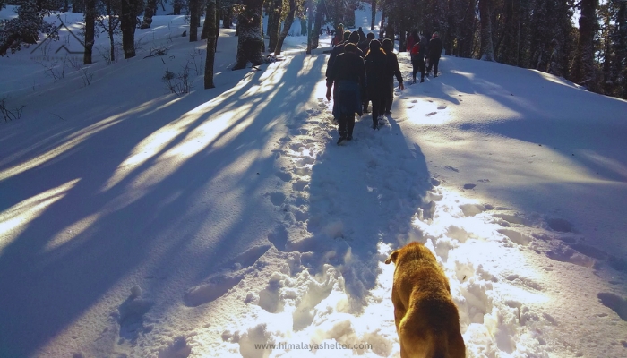 Mountain Snow Trekking