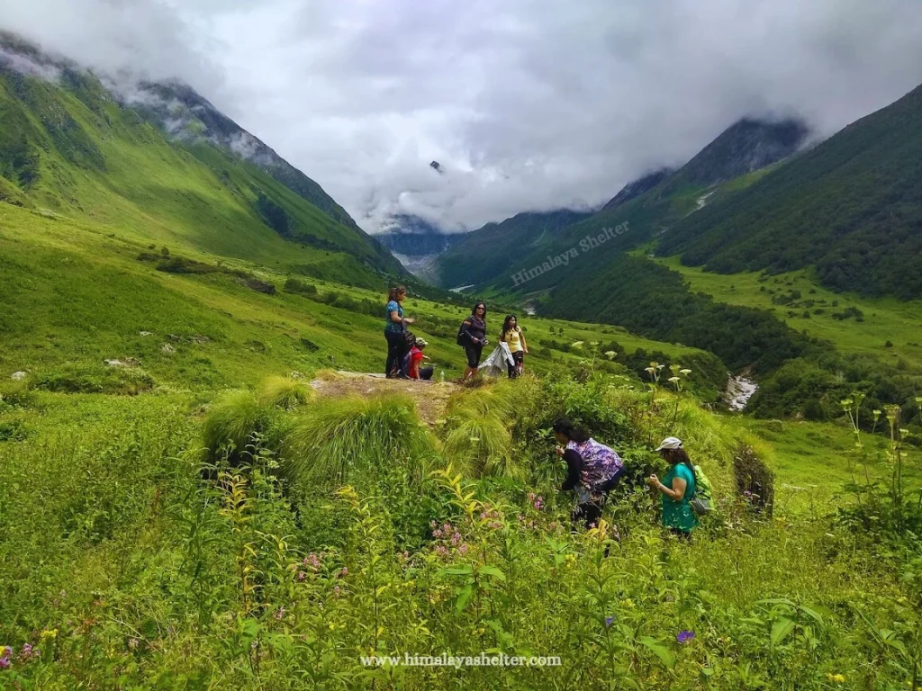 Best Time to Visit Valley of Flowers Trek 