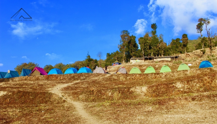 Kathian to Nag Tibba Top (3,020 m) and Return to Pantwari