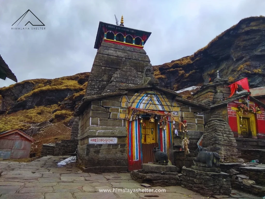 Tungnath- on the way Chopta chandrashila trek Guide